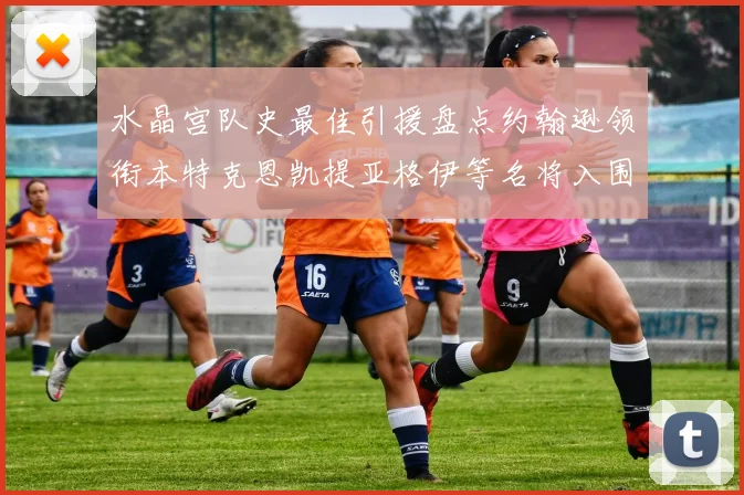 水晶宫队史最佳引援盘点约翰逊领衔本特克恩凯提亚格伊等名将入围