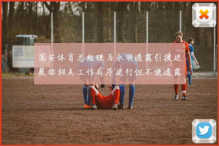 国安体育总经理马永明透露引援进展称相关工作有序进行但不便透露名字