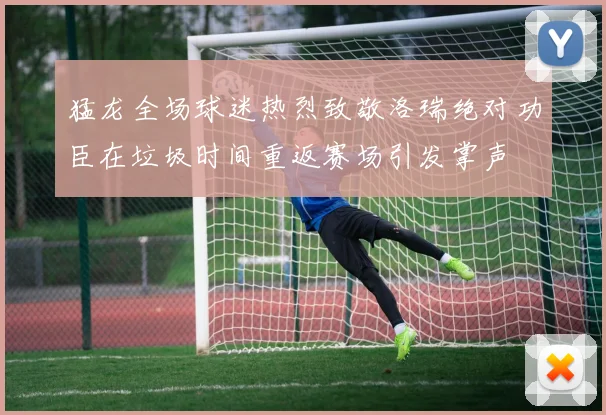 猛龙全场球迷热烈致敬洛瑞绝对功臣在垃圾时间重返赛场引发掌声