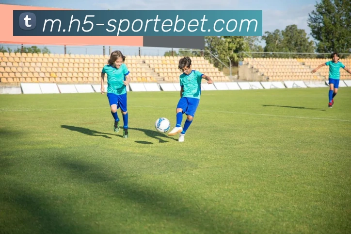 易倍体育APP 高清赛事图