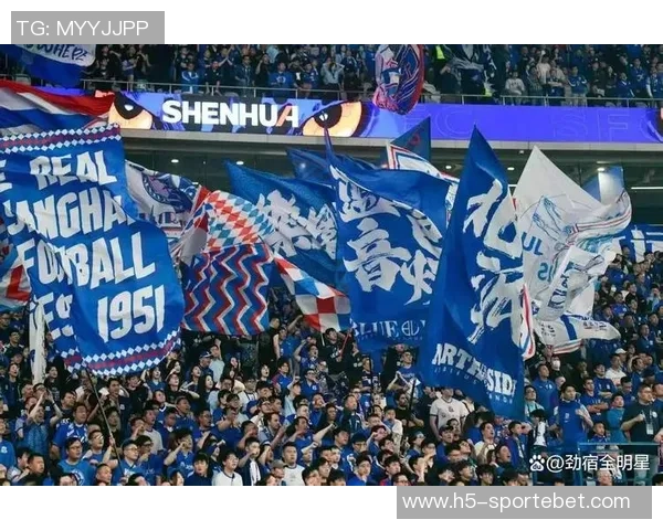 海港申花遭罚上海足协表态全力支持并接受处罚决定